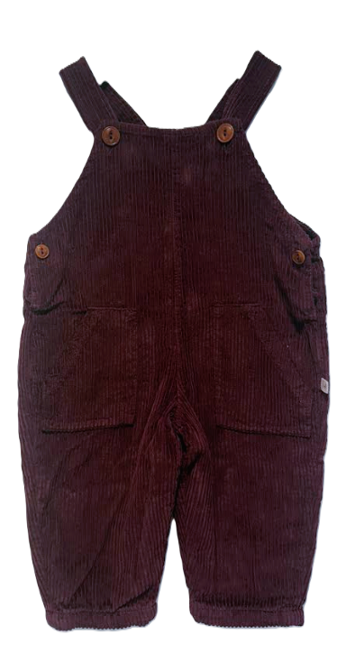 1+ IN THE FAMILY BENOIT LINED OVERALL (6M-24M)