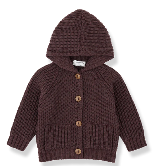 1+ IN THE FAMILY MORTEN HOODED JACKET (6M-36M)
