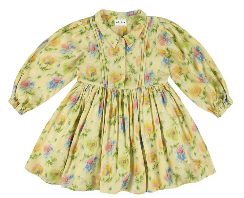 MORLEY ROBIN DRESS WITH PLEATS (2-6Y)
