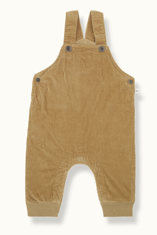 1+ IN THE FAMILY ADOLF OVERALLS(6M-18M)