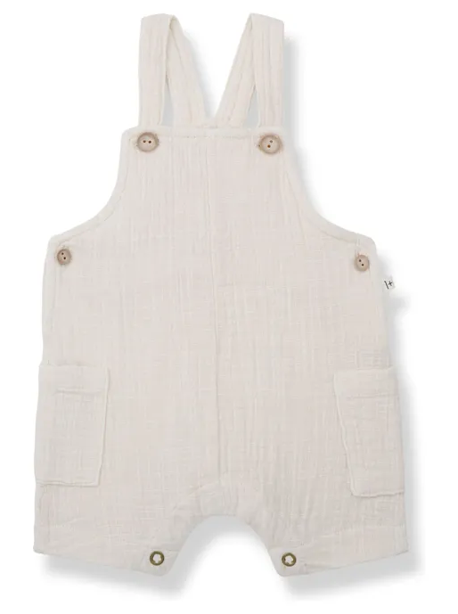 1+ IN THE FAMILY ROMAN OVERALL (6M-24M)