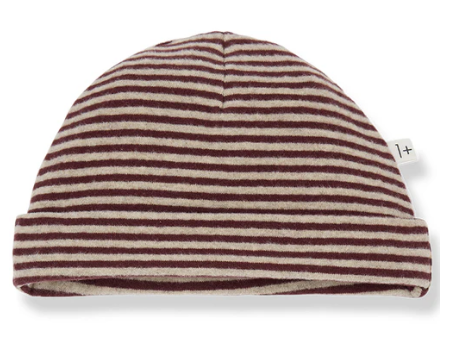 1+ IN THE FAMILY DAG REVERSIBLE BEANIE (T2-T3)