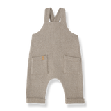 1+ IN THE FAMILY ALERT OVERALL (6M-24M)