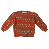 WANDER & WONDER PRINTED SWEATSHIRT (9M-36M)