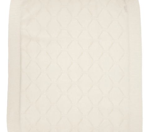 ELISABETTA FRANCHI BLANKET (OS)