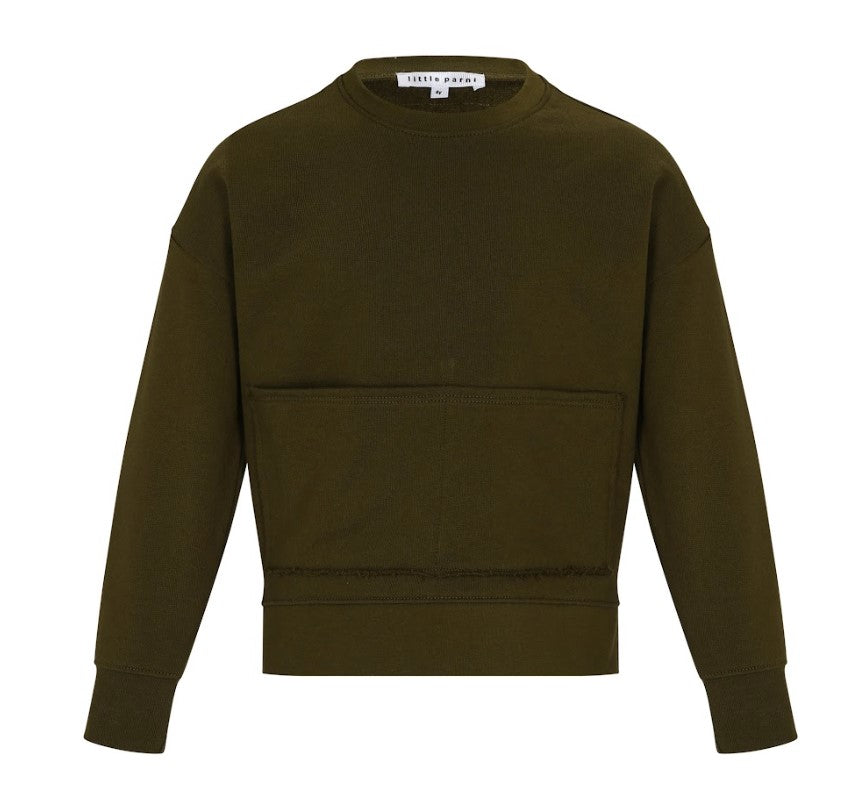 PARNI BOYS SWEATSHIRT KANGAROO POCKET(2-14Y0