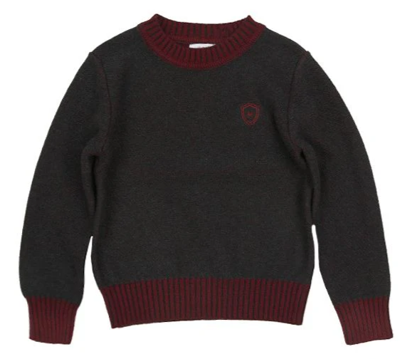 MOTU ALEX SWEATER (2-16Y)