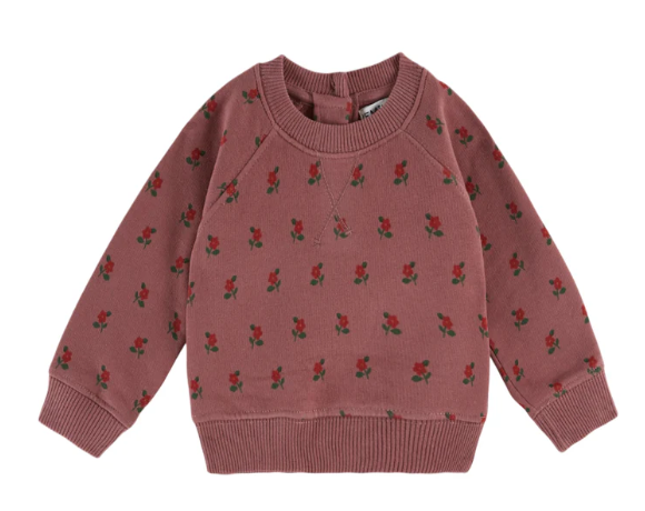 EMILIE & IDA SWEAT TOP W/LEGGINGS (9M-2A)