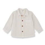 1+ IN THE FAMILY TELLARO BUTTON DOWN SHIRT (24M-48M)