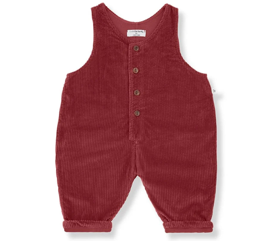 1+ IN THE FAMILY YOHO LINED OVERALLS (6M-36M)